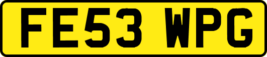 FE53WPG