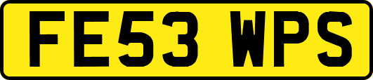 FE53WPS