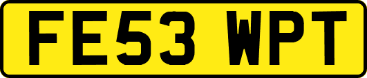 FE53WPT
