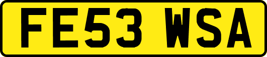 FE53WSA