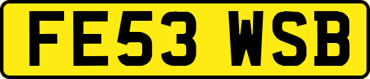FE53WSB