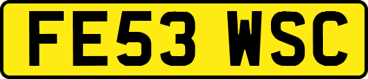 FE53WSC