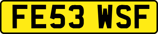FE53WSF