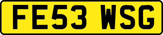 FE53WSG