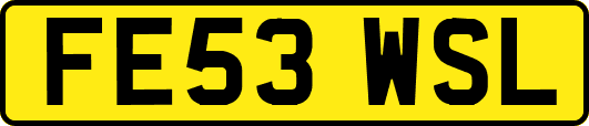 FE53WSL