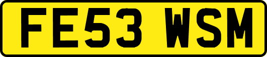 FE53WSM