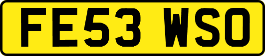 FE53WSO