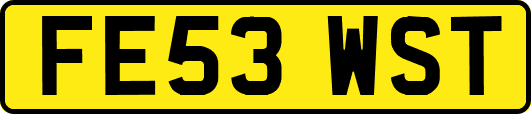 FE53WST