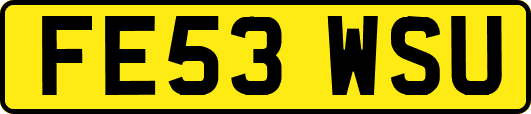 FE53WSU