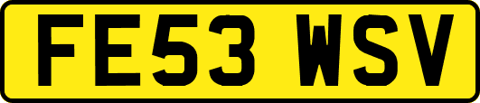 FE53WSV