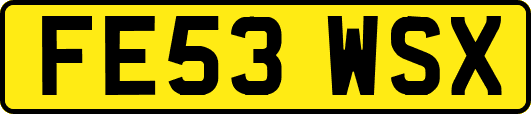 FE53WSX