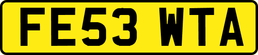 FE53WTA