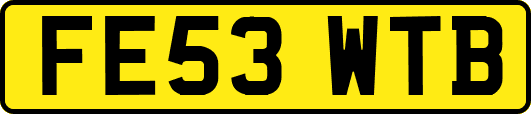 FE53WTB