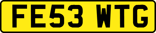 FE53WTG