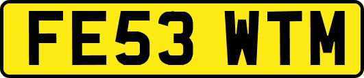 FE53WTM