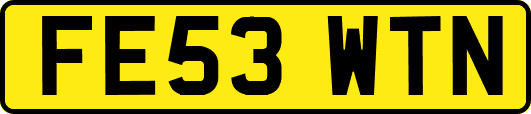 FE53WTN