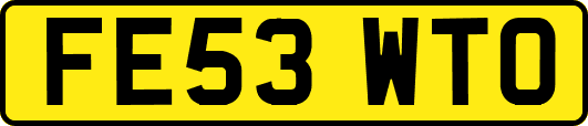 FE53WTO