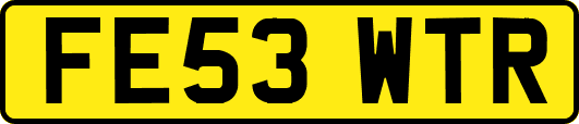 FE53WTR