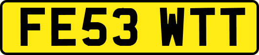 FE53WTT