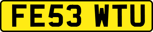 FE53WTU