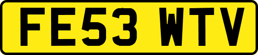 FE53WTV
