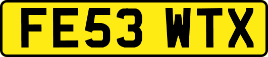 FE53WTX