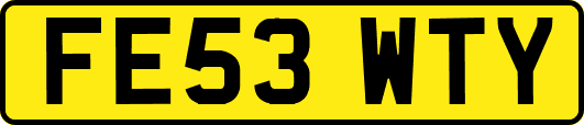 FE53WTY