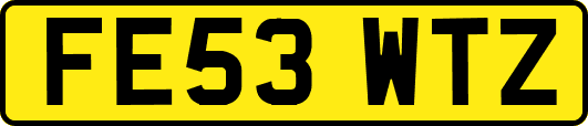 FE53WTZ