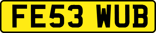 FE53WUB