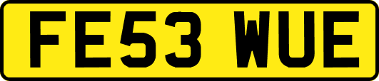 FE53WUE