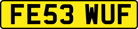 FE53WUF