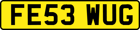 FE53WUG