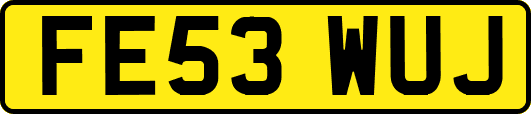 FE53WUJ