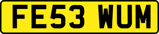 FE53WUM