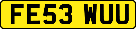 FE53WUU