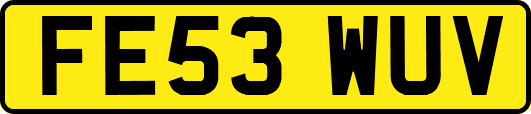 FE53WUV