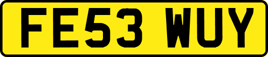 FE53WUY
