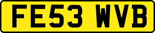 FE53WVB