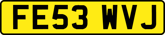 FE53WVJ