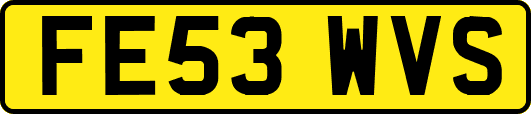 FE53WVS