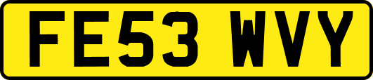 FE53WVY