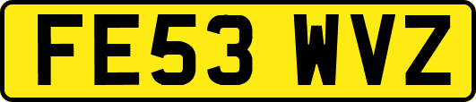 FE53WVZ