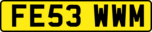 FE53WWM