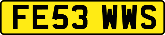 FE53WWS