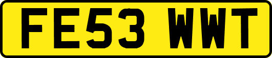 FE53WWT