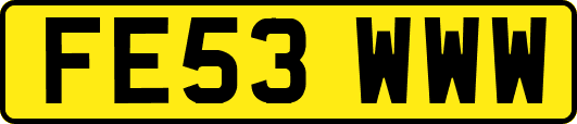 FE53WWW