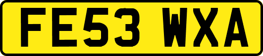 FE53WXA