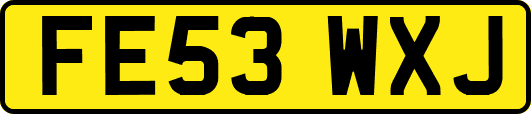 FE53WXJ