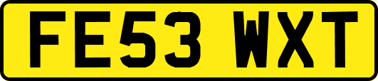 FE53WXT