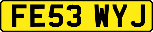 FE53WYJ